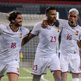 La Vinotinto saldrá al ruedo en junio