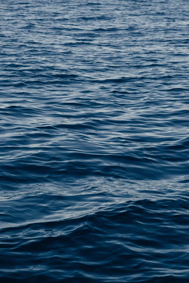 Calm ocean waves gently ripple across the water surface, capturing a moment of tranquility.