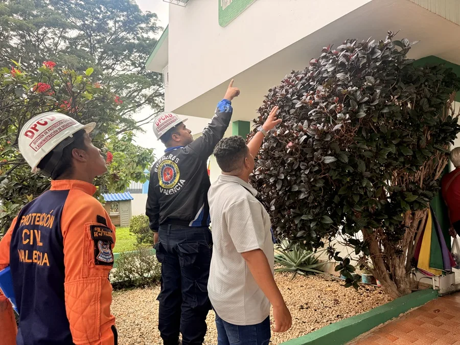 Protección Civil realiza 383 inspecciones tras terremoto