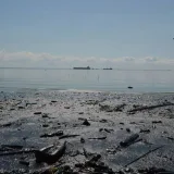 Pescadores del Lago sobreviven entre aguas contaminadas de verdín y petróleo