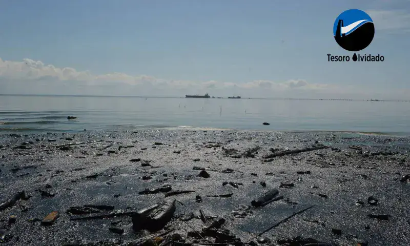Pescadores del Lago sobreviven entre aguas contaminadas de verdín y petróleo