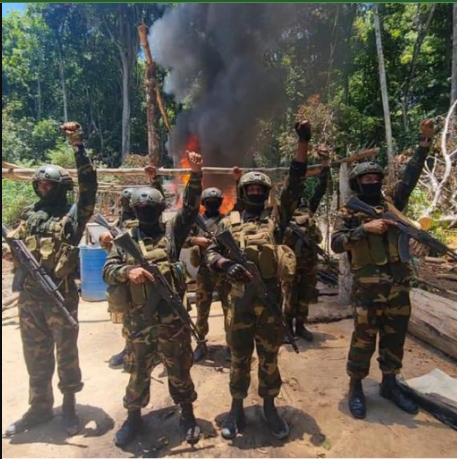 FANB destruyó campamento ilegal de minería en reserva forestal de Imataca