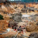 Activista pemón pide desmontar la minería ilegal de lo más alto a lo más bajo