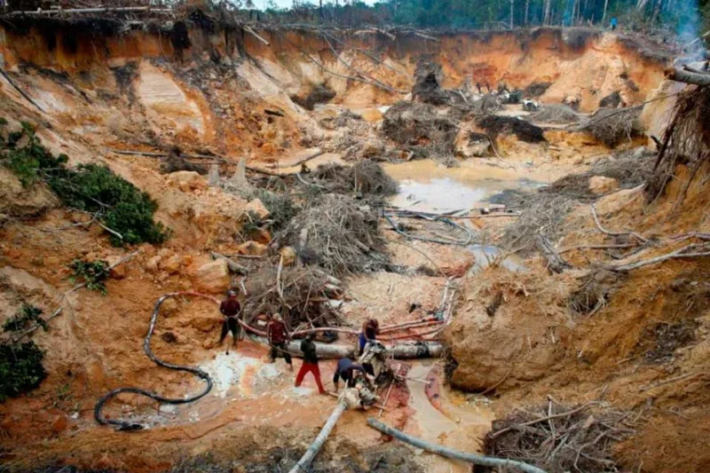 Activista pemón pide desmontar la minería ilegal de lo más alto a lo más bajo