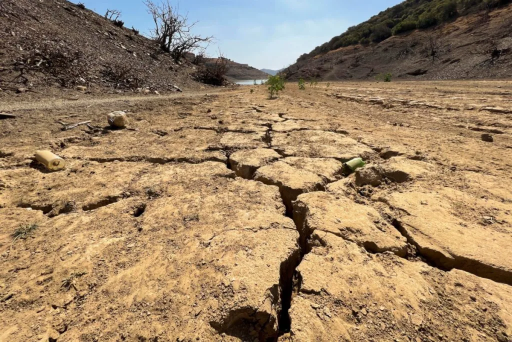 El Niño tendría mayor intensidad entre octubre y diciembre de 2026