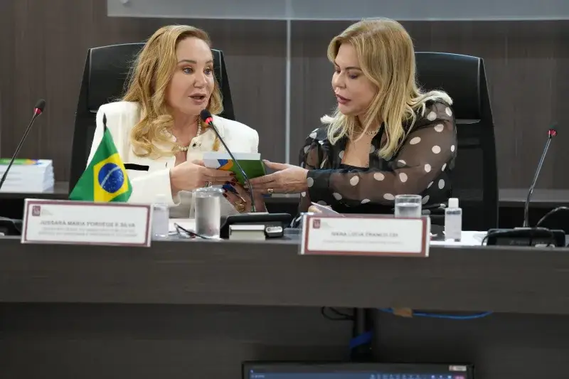File:2024-04-18 1ª Reunião de 2024 da Rede de Ouvidorias do Ministério Público 01.jpg
