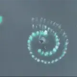 
			Ballenas jorobadas forman impresionante espiral de Fibonacci		