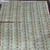 Falsificadores pretendían ingresar a Venezuela