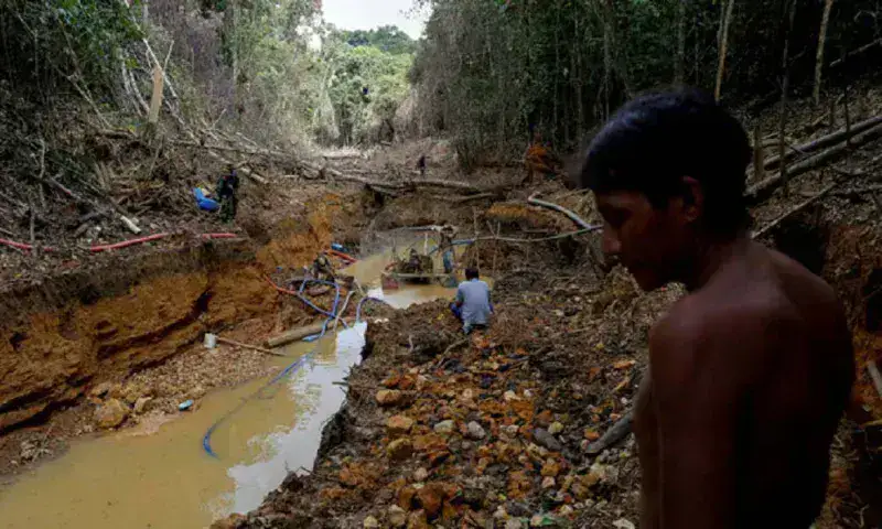 Tres venezolanos entre 14 muertos hallados en tierra Yanomami