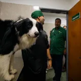 Amantes de mascotas celebran instalación del Centro de Atención Veterinaria