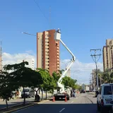 
			Corpoelec instala 230 luminarias en la avenida Dr. Portillo		