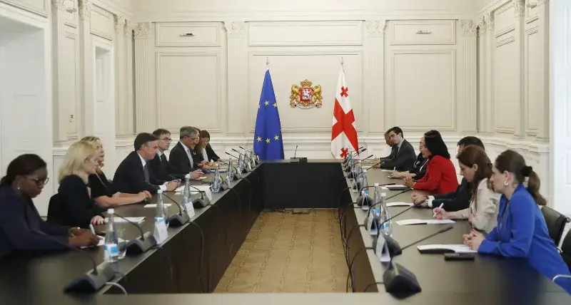 Archivo:Una reunión entre Salome Zourabichvili y la delegación del Comité de Asuntos Exteriores del Parlamento Europeo.jpg