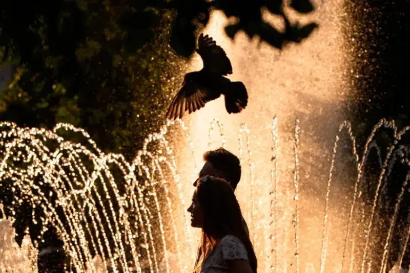 Francia suma unas 1.000 muertes adicionales en la ola de calor extrema