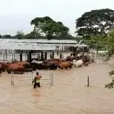 Desborde de cañadas e inundaciones afectan a Maracaibo