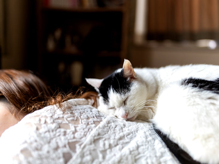 Napping longer than 30 minutes linked to higher risk of obesity and high blood pressure