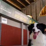 Abren primer centro de atención veterinaria a bajo costo en Maracaibo