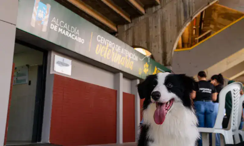 Abren primer centro de atención veterinaria a bajo costo en Maracaibo