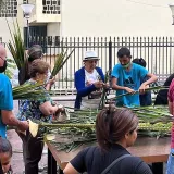 
				En la Basílica ya están listas las palmas para este Domingo de Ramos			
