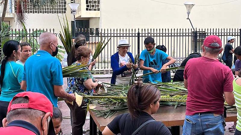 En la Basílica ya están listas las palmas para este Domingo de Ramos