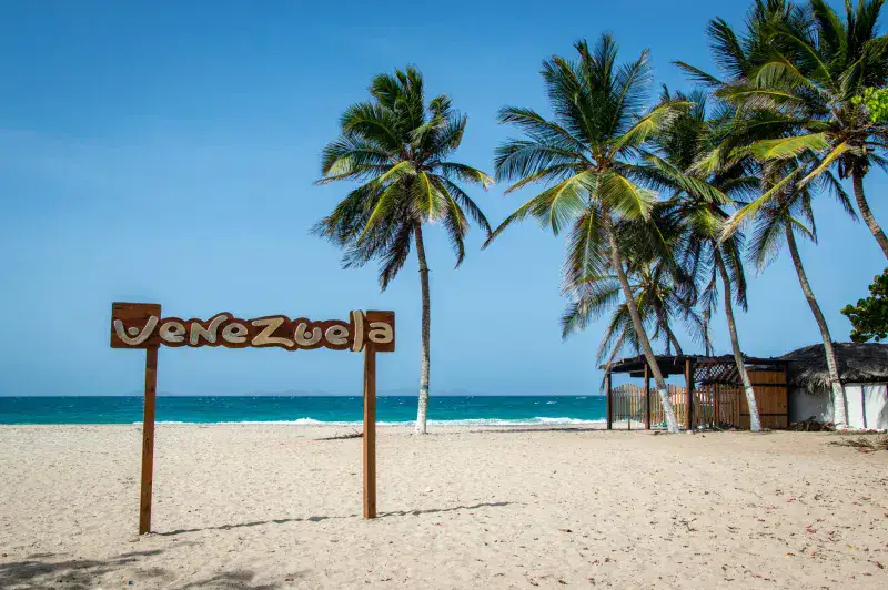 Breathtaking tropical beach in Venezuela featuring palm trees, a clear blue sky, and a sandy shore.