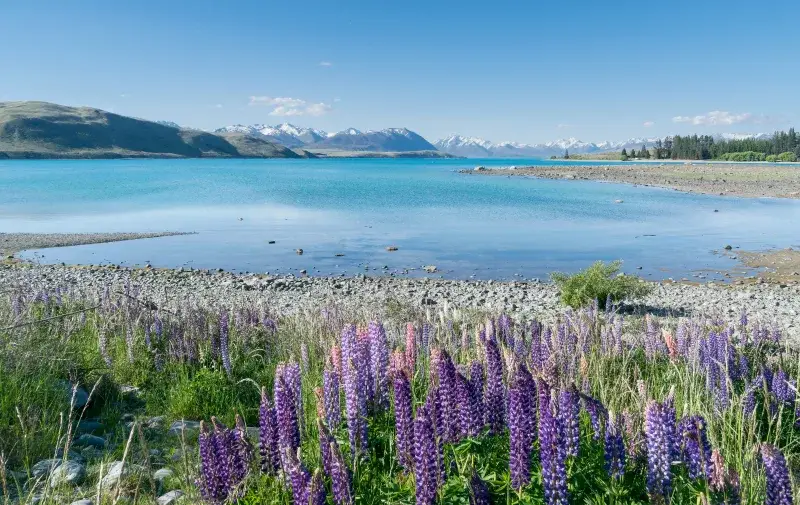 File:Lake Tekapo 01.jpg