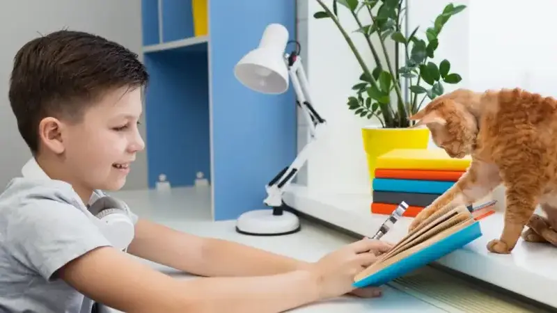 Claves para una transición escolar ordenada según cada etapa