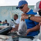 Feria del Pescado se realizará en Maracaibo el 1, 2 y 3 de abril