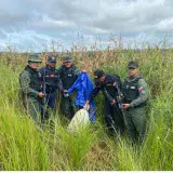 Detuvieron a un traficante del Tren del Llano con 45 panelas de marihuana