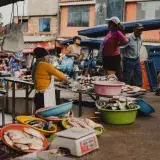Vibrant scene of a fish market in Rioja, Peru, with vendors and customers interacting.