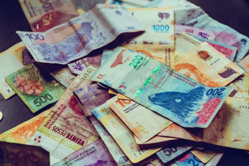 Vibrante variedad de billetes de peso argentino, mostrando diversas denominaciones y diseños de vida silvestre.