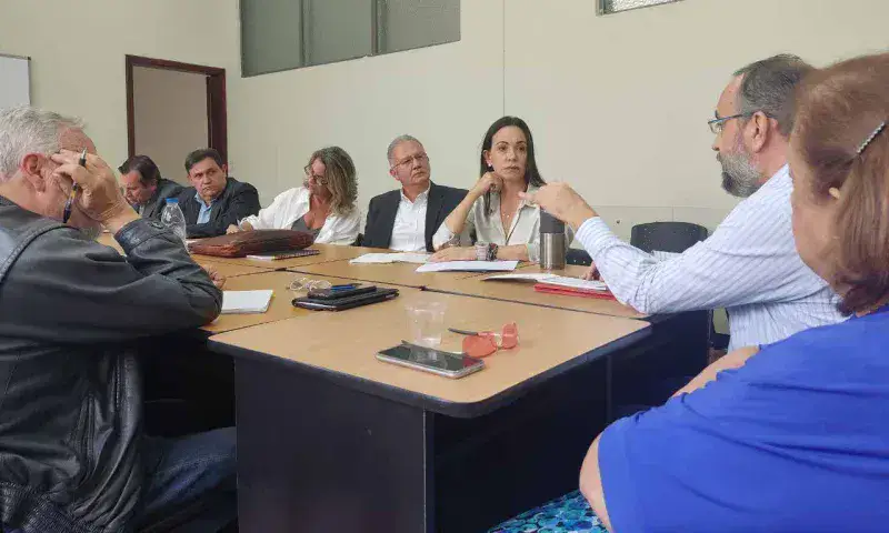 Comisión de Primaria inicia consulta con precandidatos por tema CNE