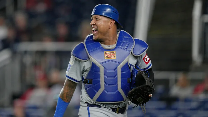 5 grandeligas que podrían jugar en la LVBP en la temporada 2024-2025