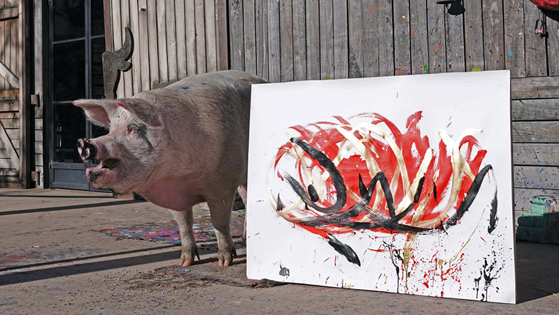 Muere Pigcasso, la cerda artista millonaria