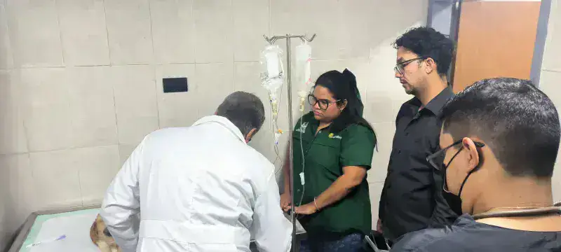 Foto: Cortesía