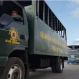 Incautan 8.4 toneladas de cocaína en campamentos de la narcoguerrilla