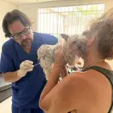 Valencia atendió mascotas damnificadas de La Guaira