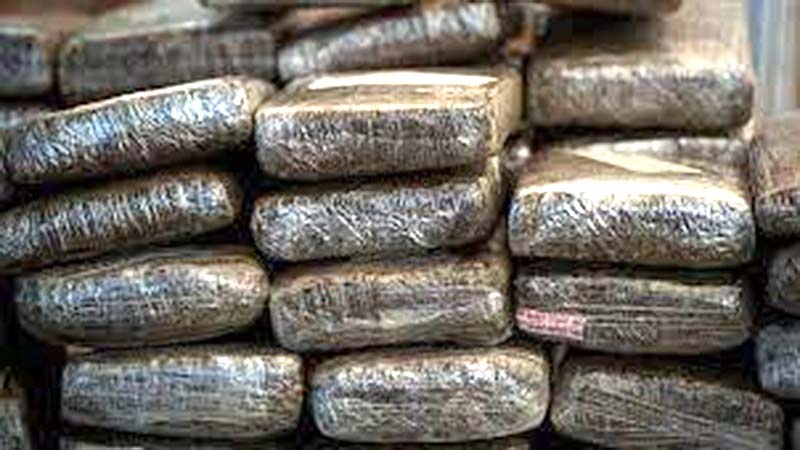 Detienen a una persona con 398 panelas de marihuana en Lara
