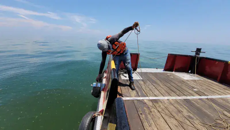 Lorca: se revisan Protocolos de Biorremediación para el saneamiento del Lago