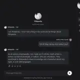 File:A user conversing with a Character.ai simulation of Wikipedia.png