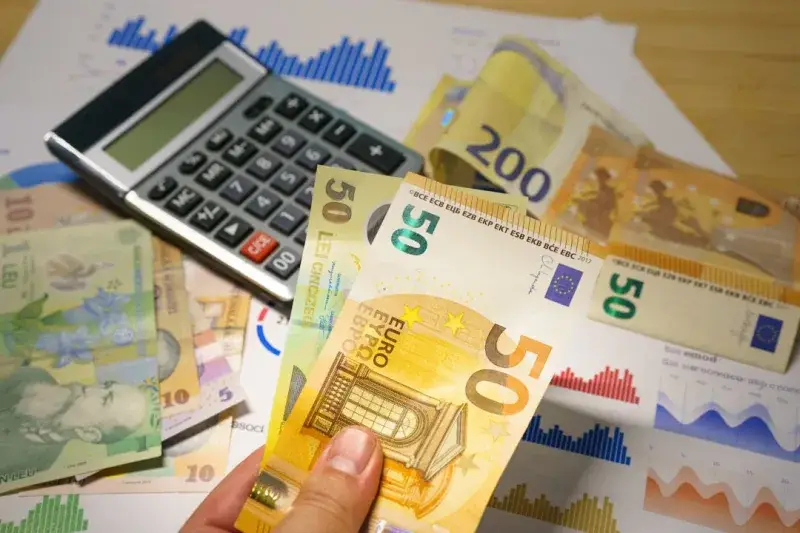 euro lei banknotes