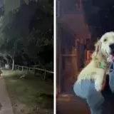 
				“Ni Judas se animó a tanto”: se reencontró con su ex mientras paseaba a su perra y la reacción del animal la sorprendió			