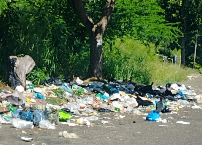 Colapso de servicios públicos golpea a comunidades de Guayana