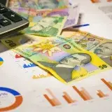 Business analytics romanian currency banknotes