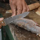 ¿Cuánto cuestan estos pescados en Semana Santa?