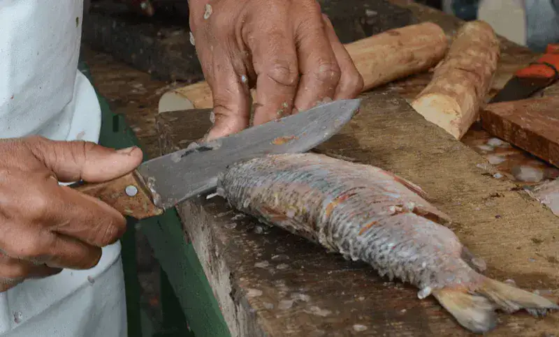 ¿Cuánto cuestan estos pescados en Semana Santa?