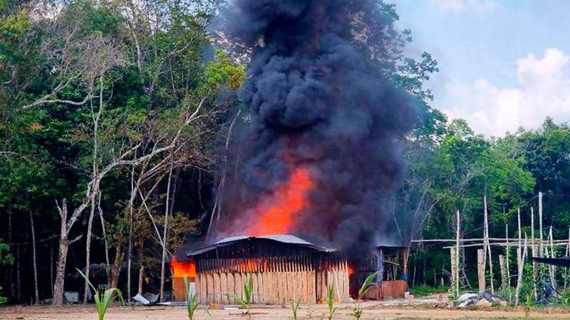 FANB desmanteló seis campamentos de narcotraficantes en el Zulia