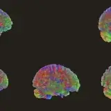 Así madura el cerebro adolescente y por qué cambia por fases