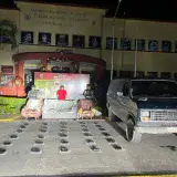 Detectan 30 panelas de marihuana con destino al estado Bolívar