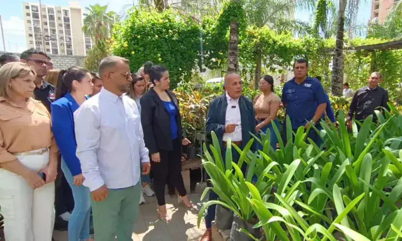 Rosales gestiona plan ambiental para sembrar 1 millón de árboles en Zulia