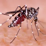 MinSalud contabiliza más de 112 mil fumigaciones contra el dengue